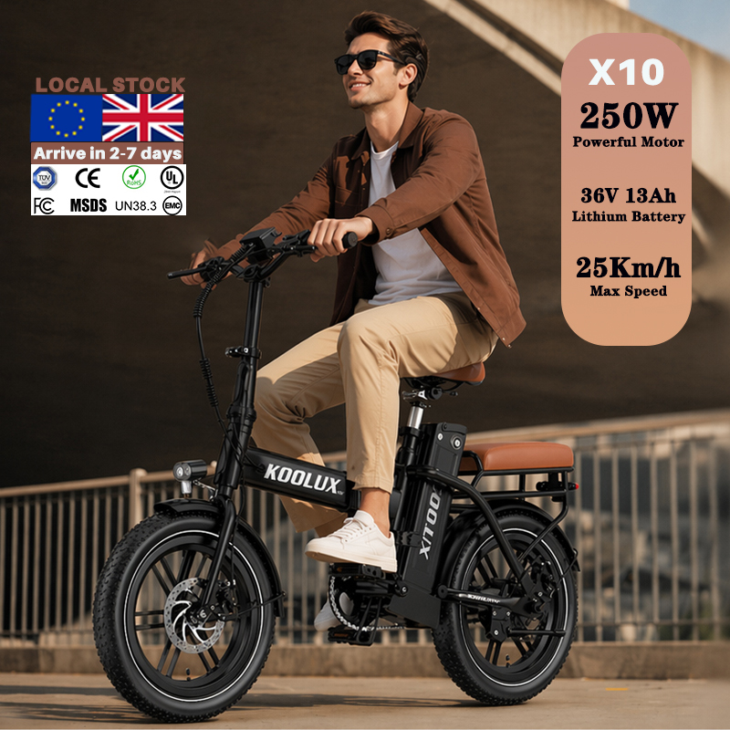 Mountain Biking Europe - Europe Poland X10 Electric Folding Bike